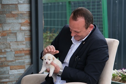 Çiftlikköy’de Sokak Hayvanları Emin Ellerde